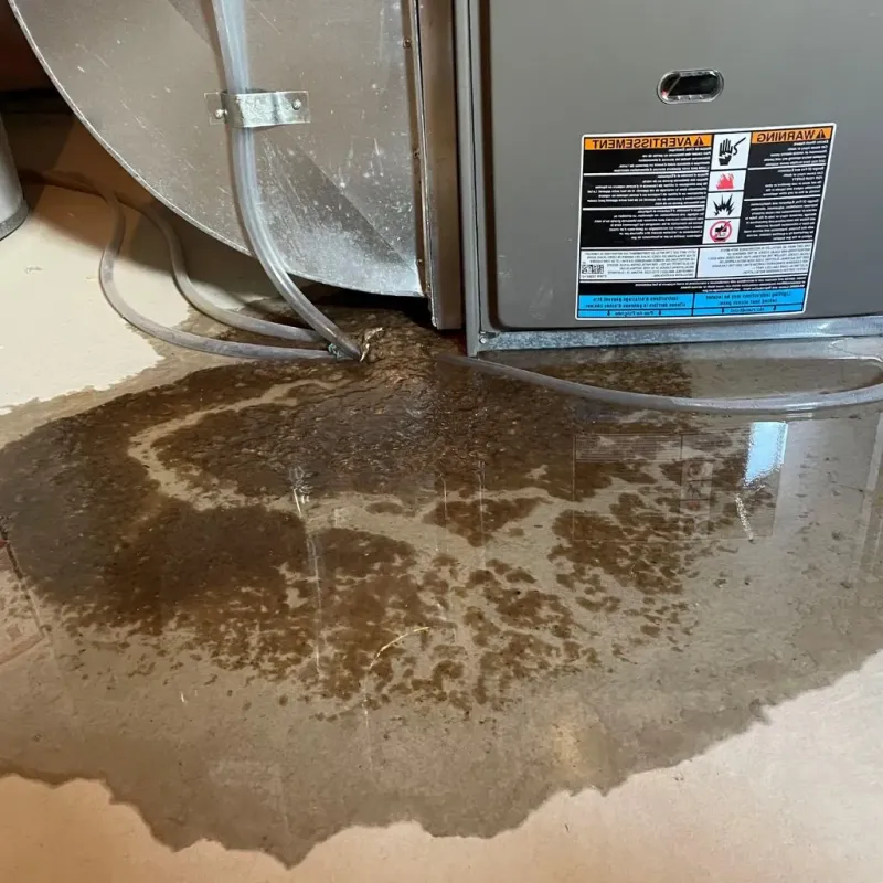 Pipe Burst and Leak Restoration in Greenwich, CT